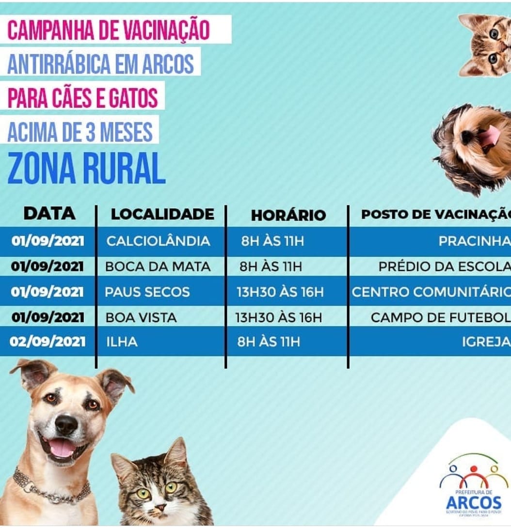 Campanha De Vacinação Antirrábica Para Cães E Gatos Começa Nesta Quarta ...